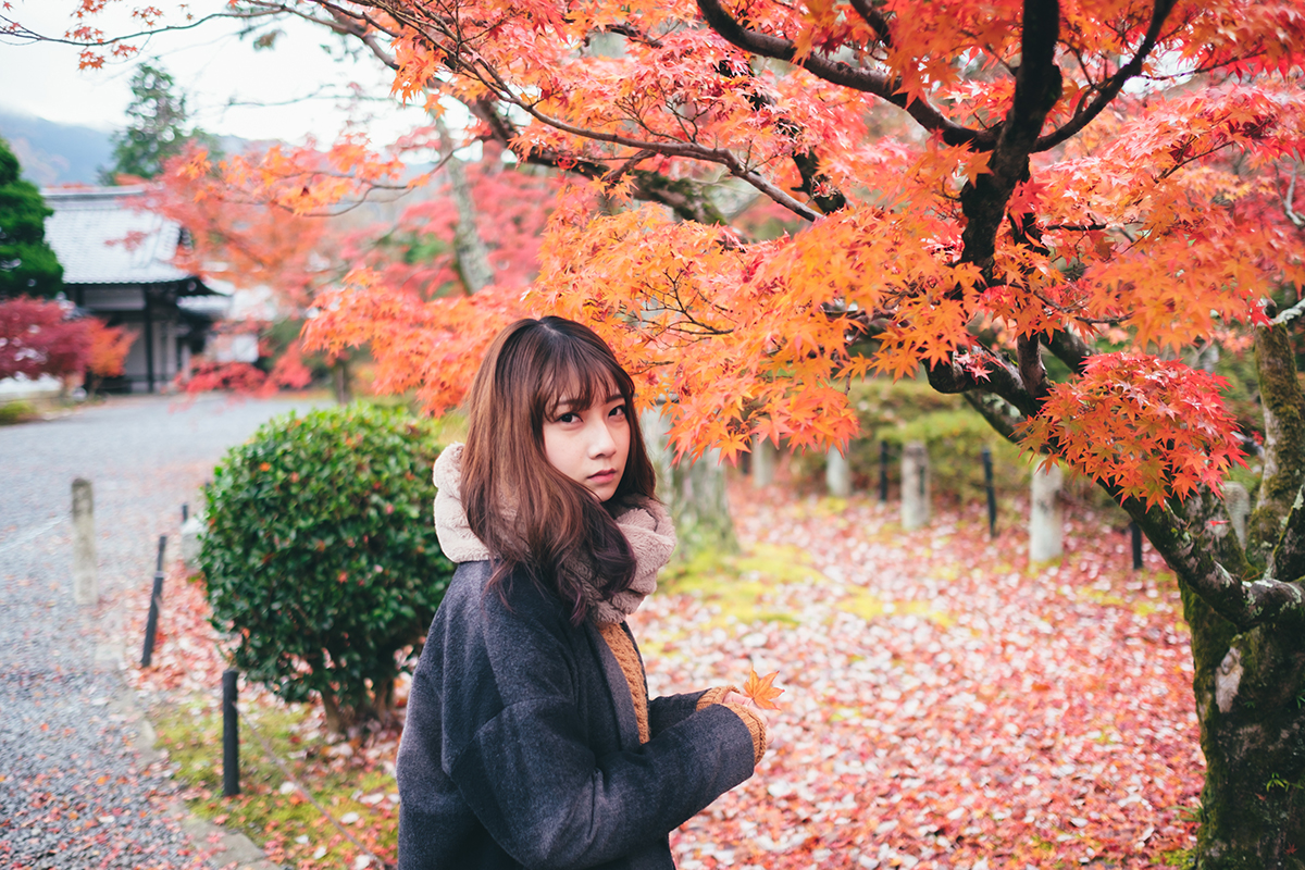 フォトグラファーのYuma Takatsukihが富士フイルムX-Pro2、XF23mmF1.4 Rレンズで撮影した紅葉、もみじ、女性の写真
