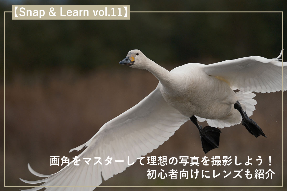 画角をマスターして理想の写真を撮影しよう!初心者向けにレンズも紹介