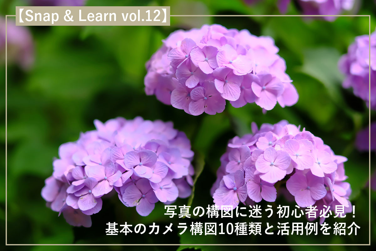 写真の構図に迷う初心者必見!基本のカメラ構図10種類と活用例を紹介