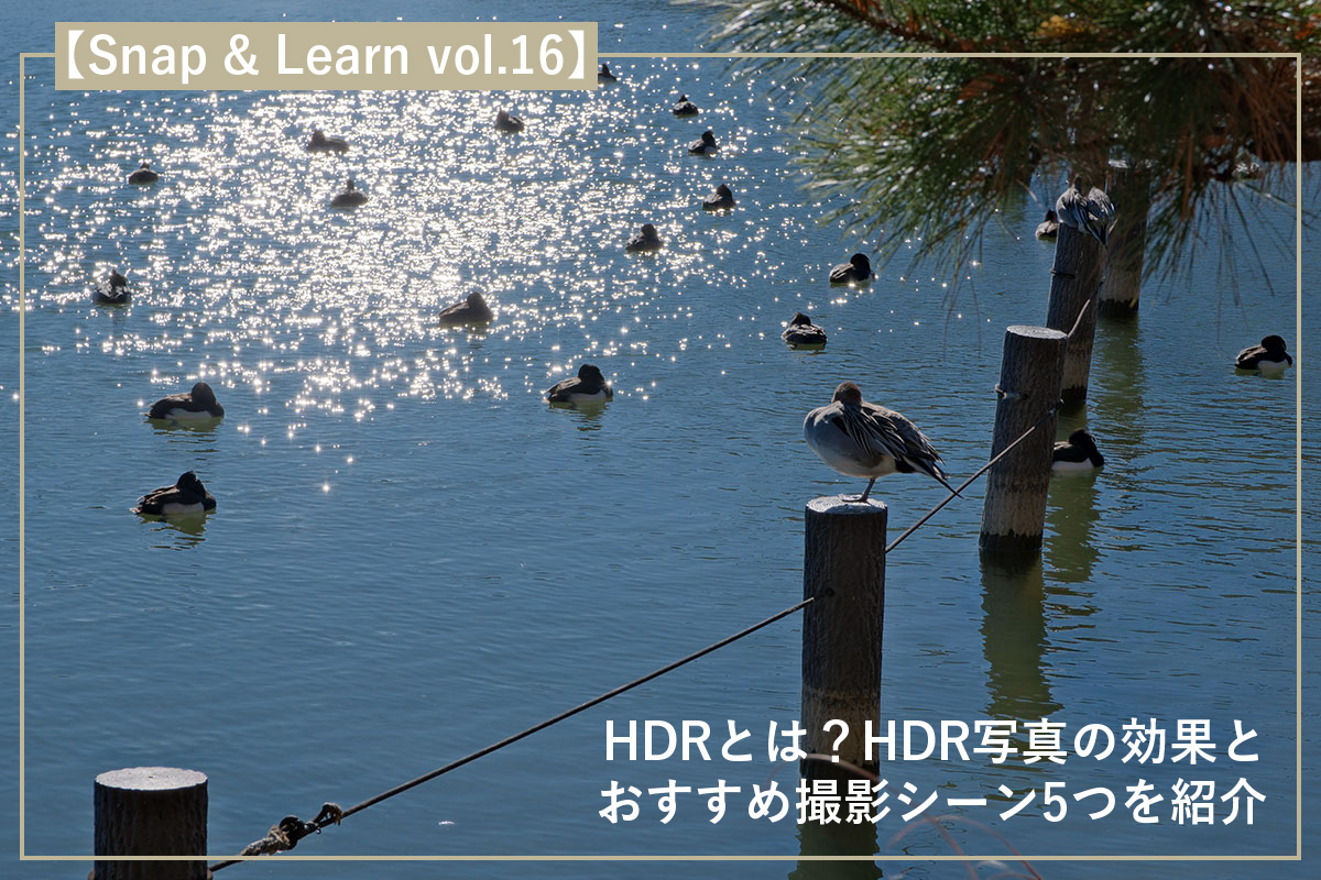 HDRとは?HDR写真の効果とおすすめ撮影シーン5つを紹介