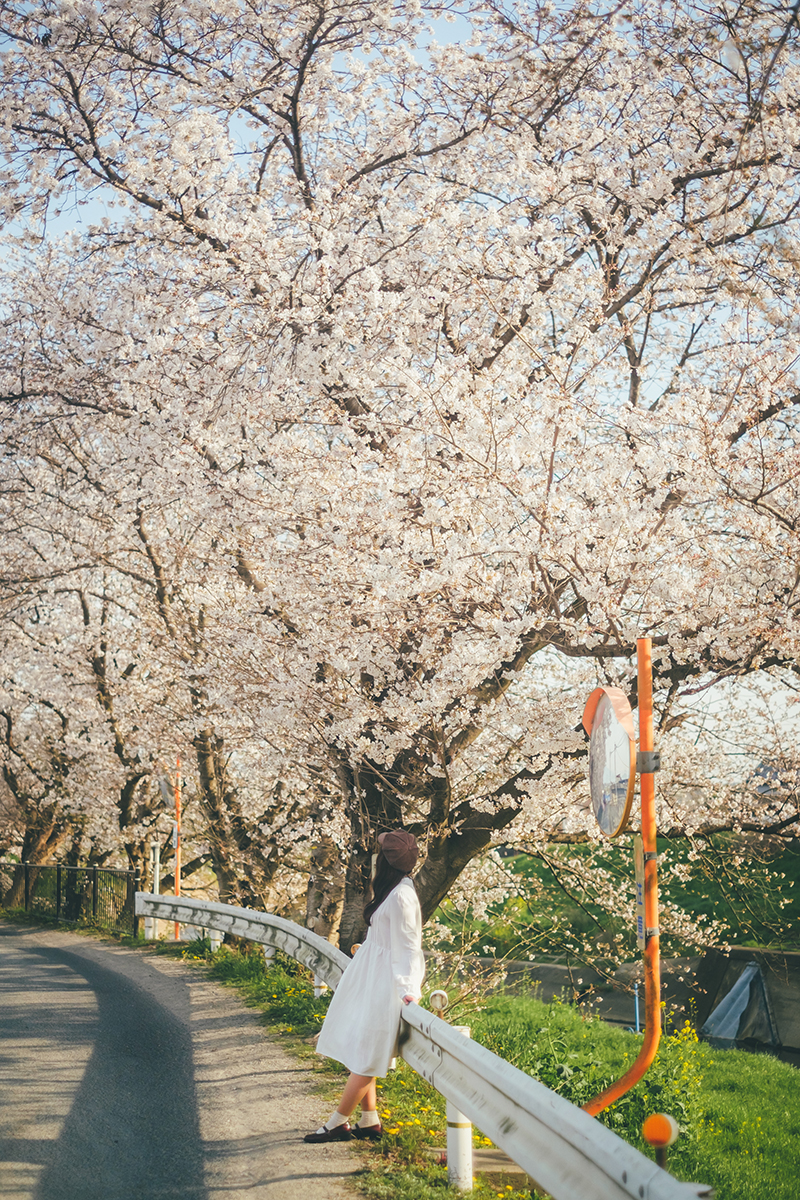 富士フイルム、X-Pro2で撮影した桜をバックにした写真